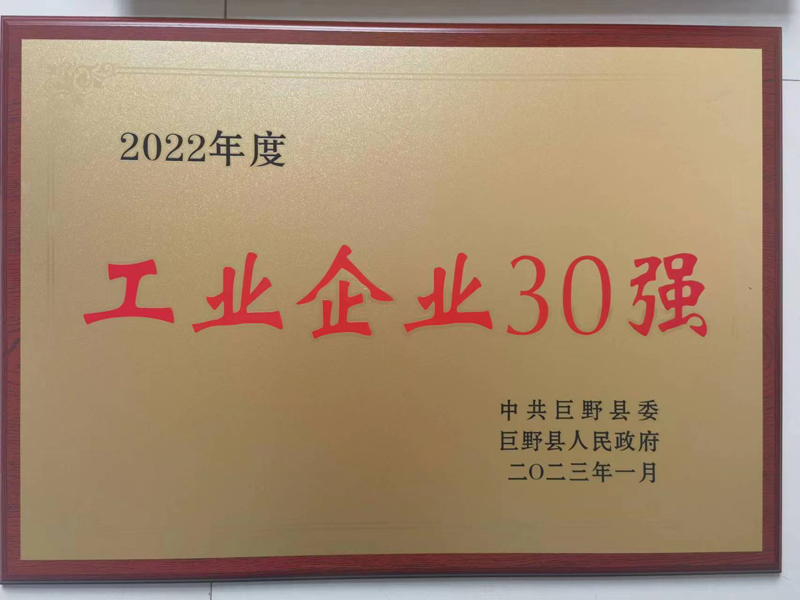 工业企业30强